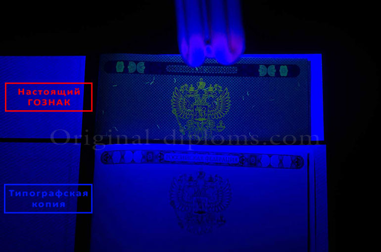 Отличия типографии и ГОЗНАКа Отличия типографии и ГОЗНАКа